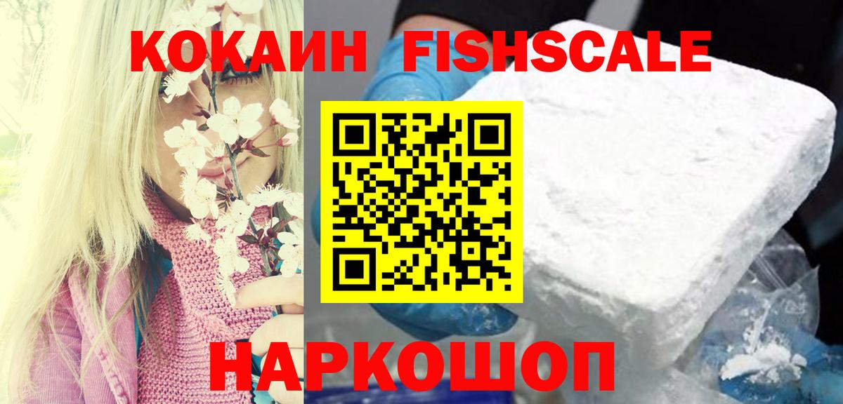 Горячий Ключ  Cocaine Fish Scale  Вход с VPN 