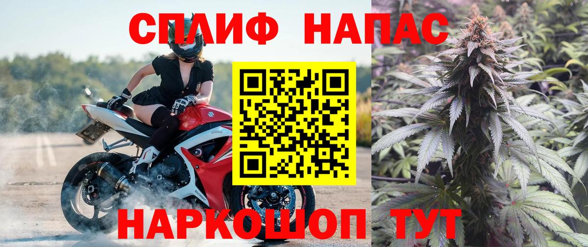 Канабис сатива Горячий Ключ